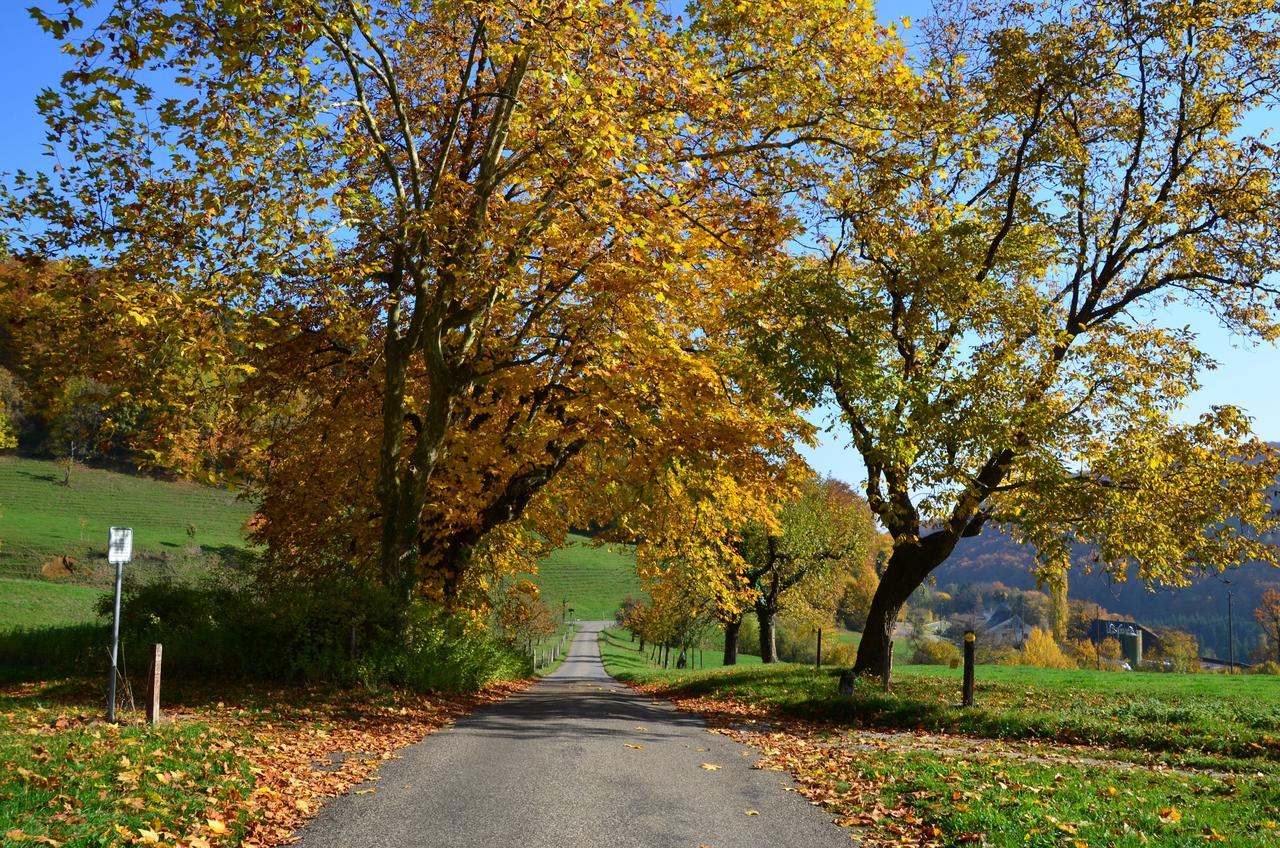 Отель Bad Schauenburg Листаль Экстерьер фото