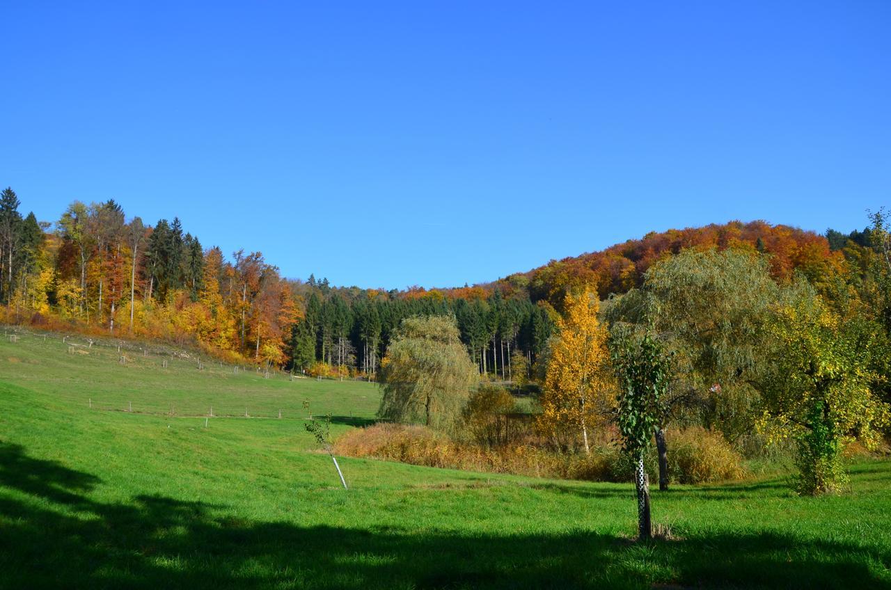 Отель Bad Schauenburg Листаль Экстерьер фото