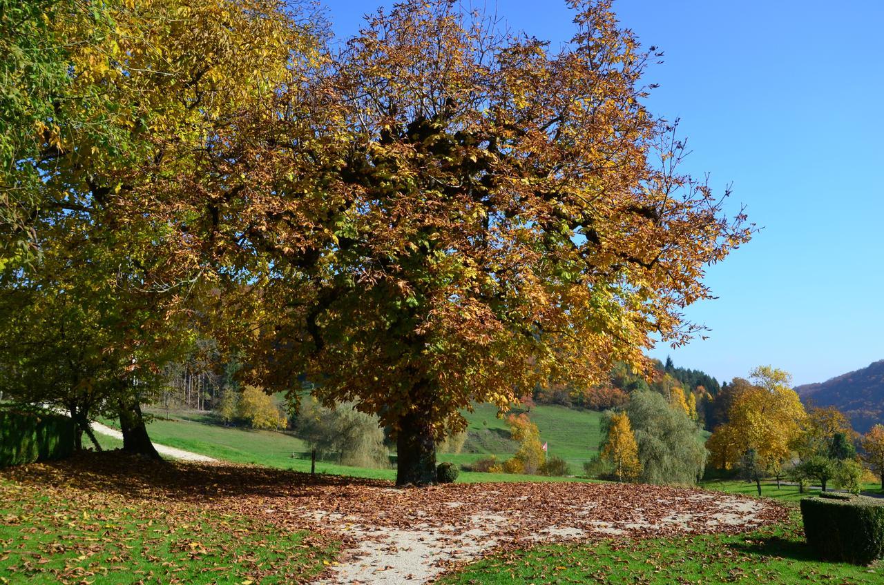 Отель Bad Schauenburg Листаль Экстерьер фото